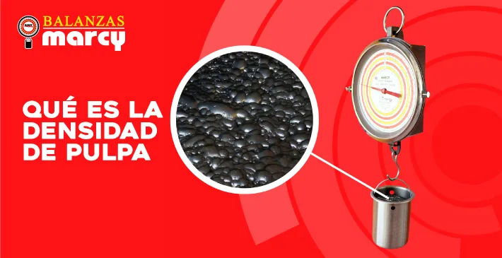 ¿Qué es la densidad de la pulpa?